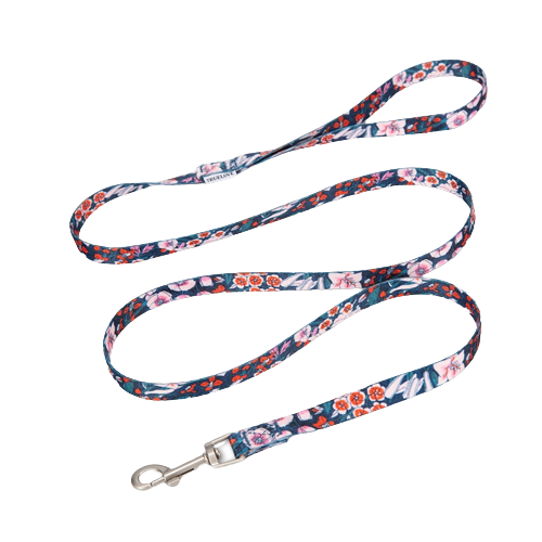 Laisse petit chien Truelove Flower légère et stylée