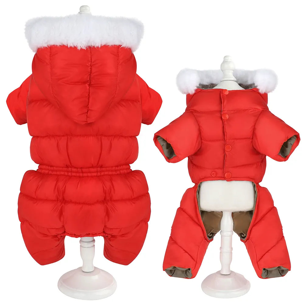 Manteau shih tzu sale