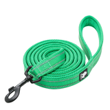 Laisse Truelove pour chien verte