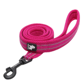 Laisse Truelove pour chien rose