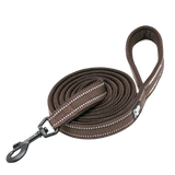 Laisse Truelove pour chien marron