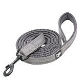 Laisse Truelove pour chien grise