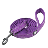 Laisse Truelove pour chien violette