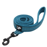 Laisse Truelove pour chien bleue