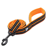 Laisse Truelove pour chien orange