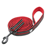 Laisse Truelove pour chien rouge
