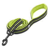 Laisse Truelove pour chien jaune verte