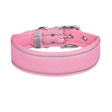 Collier pour Whippet rose