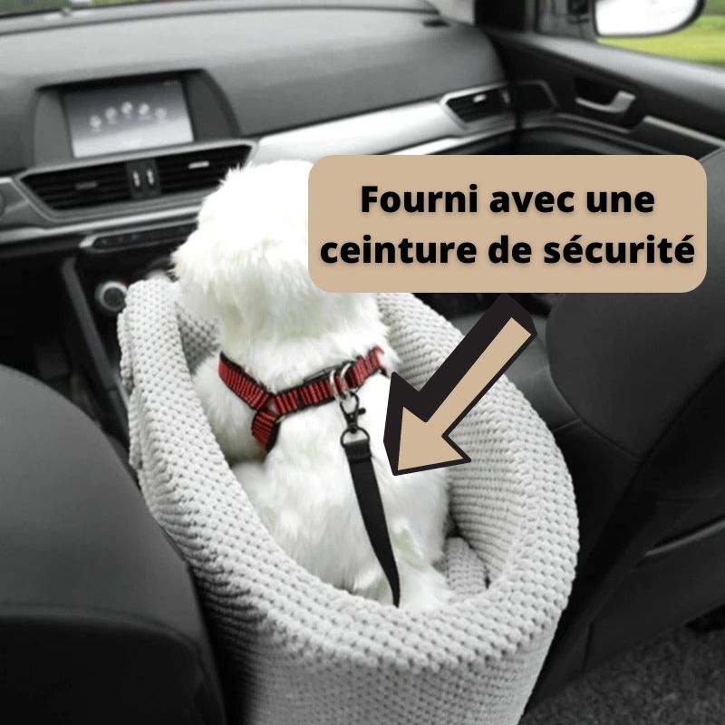 Laisse de sécurité voiture pour chiens et chats
