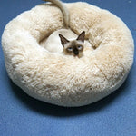 Coussin apaisant pour chien et chat beige Pleasant avec un chat dedans