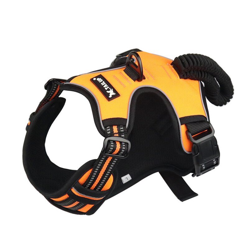 Harnais pour Golden Retriever Animal Lovers