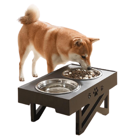 Gamelle en hauteur noire avec un shiba inu qui mange dedans sur un fond blanc