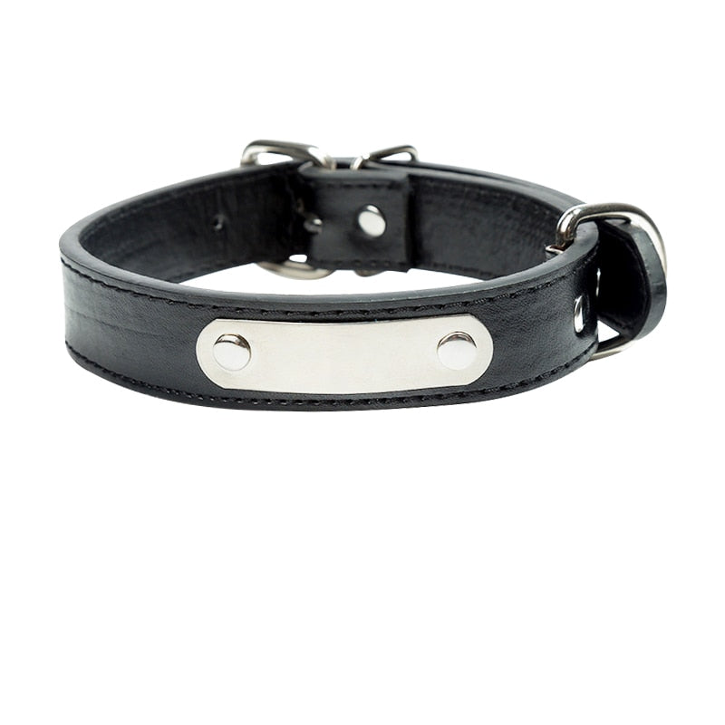 Harnais pour Chihuahua avec strass – Animal Lovers