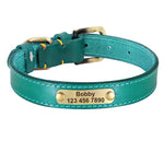 Collier pour chien vert