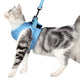 Harnais pour Chaton de 2 mois Bleu