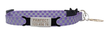 Collier pour chat avec nom violet argent