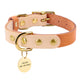 Collier pour chien en cuir de luxe orange