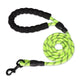 Laisse pour chien corde tressée en nylon réfléchissante verte clair