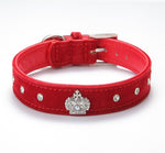 Collier pour Jack Russel rouge