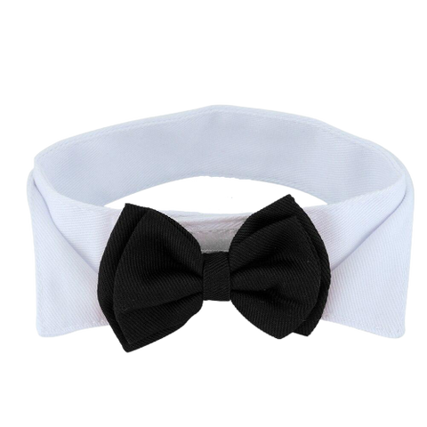 Noeud papillon chien mariage - Animal Lovers