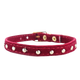 Collier pour chaton et chat chic rouge or