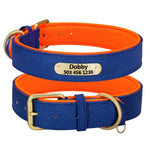 Collier pour chien de chasse gravé bleu et orange