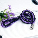 Laisse pour gros chien violet noir