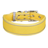 Collier pour Whippet jaune