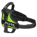 Harnais pour Chien Personnalisé Anti-traction Vert