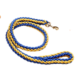 Laisse pour gros chien bleu jaune