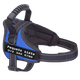 Harnais pour Chien Personnalisé Anti-traction Bleu