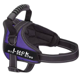 Harnais pour Chien Personnalisé Anti-traction Violet